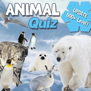 Animal Quiz - HTML5 Games - Play for Free Online