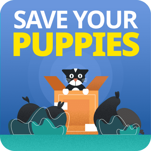 Save Your Puppies - HTML5 Games - Play for Free Online